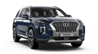 ПАЛИСАД/ PALISADE